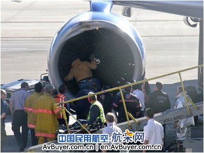 美国一架客机遭飞鸟撞击后紧急降落