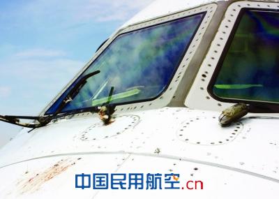 被撞飞机雨刮器留下了鸽子的血迹。 南航新疆飞南京客机遭鸟击 直接损失数百万
