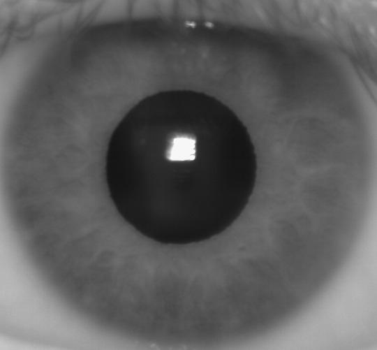 使用虹膜扫描的机场安检系统真的安全吗?