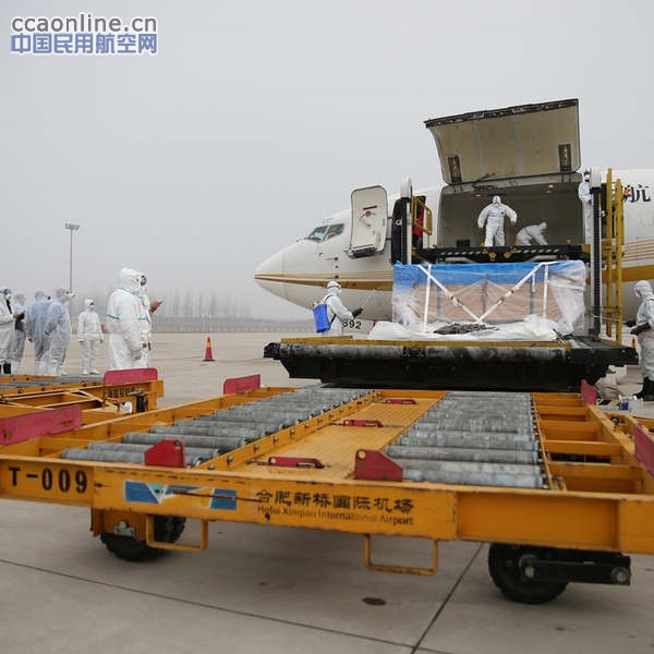 合肥新桥机场迎来特殊“客人”8只日本海豚