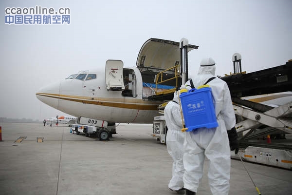 合肥新桥机场迎来特殊“客人”8只日本海豚