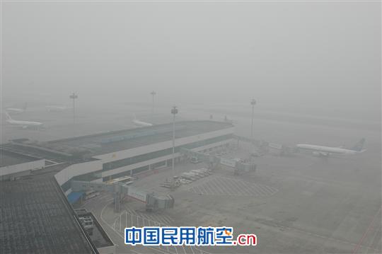 浓雾深锁贵阳机场 民航贵州空管分局积极应对
