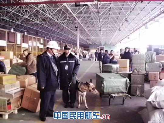 护卫犬进驻白云机场货站 保障货物运输安全