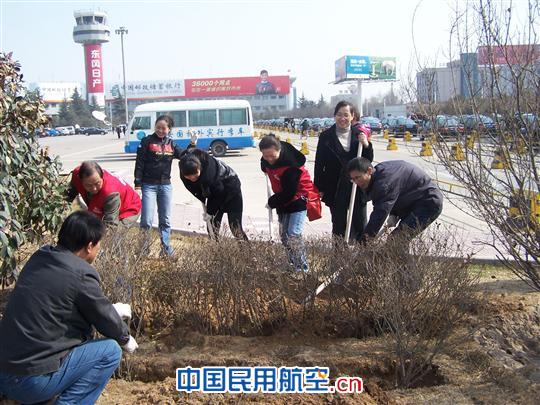 综合管理部开展“爱在东航 学雷锋”植树活动