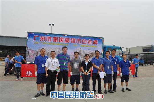 深圳机场顺利运送广州赠高雄两只白老虎