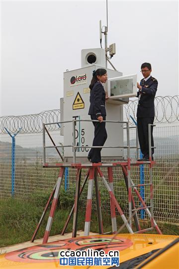 长水机场驱鸟记：开展专项行动 保障飞行安全