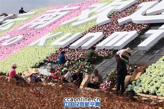 长水机场:七彩花田争芳斗艳 美化绿化增光添彩