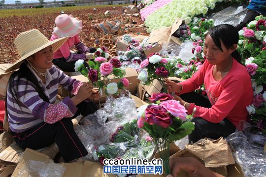 长水机场:七彩花田争芳斗艳 美化绿化增光添彩