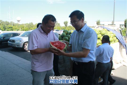 炎热送西瓜，清凉一夏