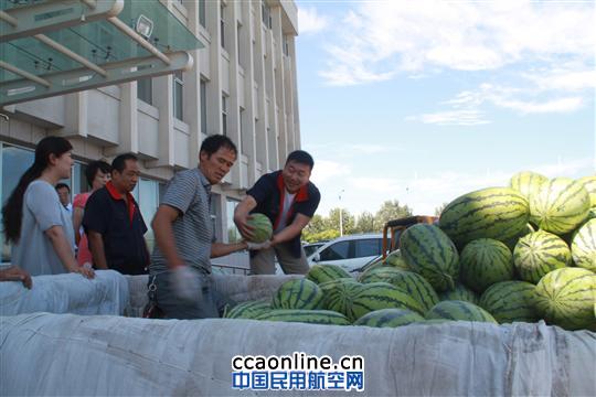 炎热送西瓜，清凉一夏