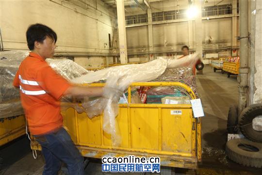 越夜越忙碌  李春善眼中的“夜忙”症