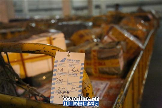 越夜越忙碌  李春善眼中的“夜忙”症