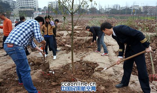 国航重庆分公司团委开展植树节活动