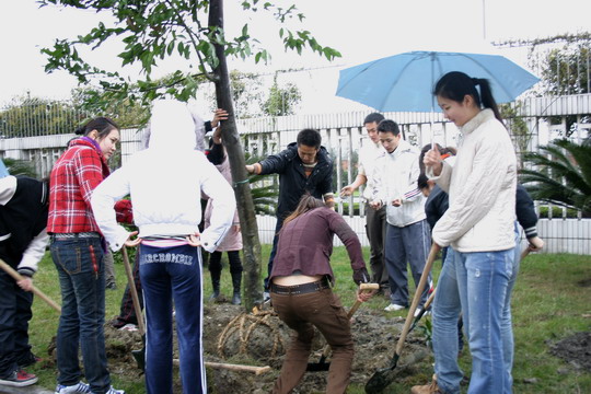 国航西南培训部组织开展义务植树活动
