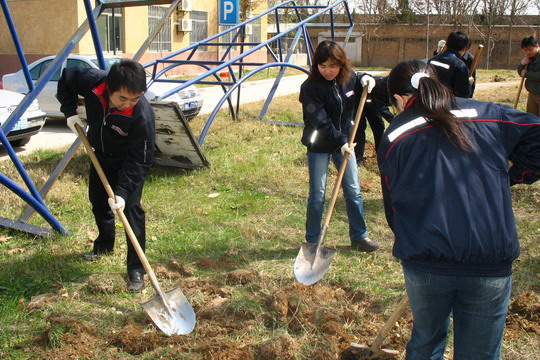 东航西北维修基地开展美化家园植树活动