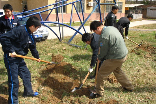 东航西北维修基地开展美化家园植树活动