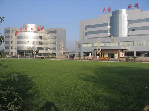 发挥纽带作用 天津机场海关服务航空货运公司