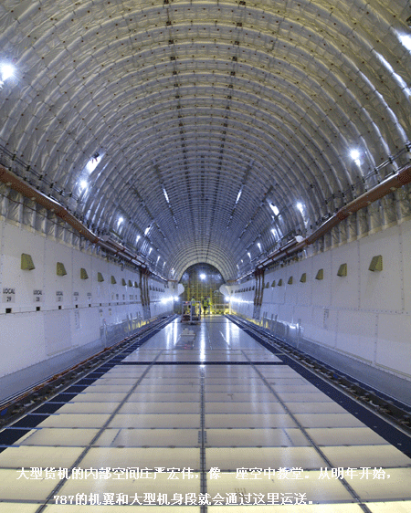 兰迪手记:不可思议的飞机