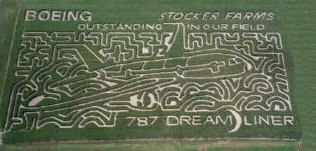 兰迪手记:不可思议的飞机