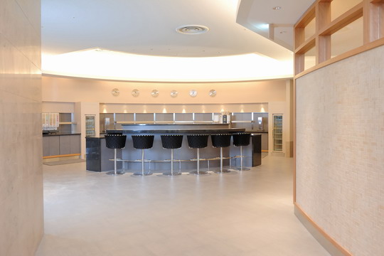 “寰宇一家”开始进行东京成田机场运作整合