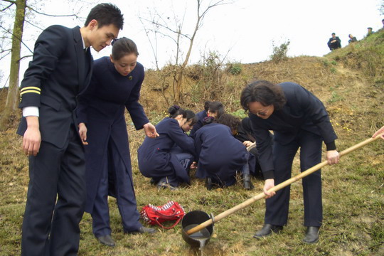 国航西南客舱部地服部团员青年参加植树活动