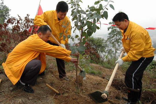 南航深圳分公司飞机工程师义务植树1000余棵
