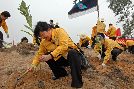 南航深圳分公司飞机工程师义务植树1000余棵