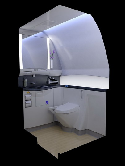 波音787推出更便捷无障碍设施 效果已获验证