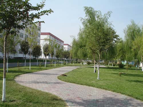 新疆民航物业公司聘请专家指导绿化工作