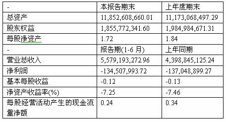 上海航空公司：2007年中期主要财务指标
