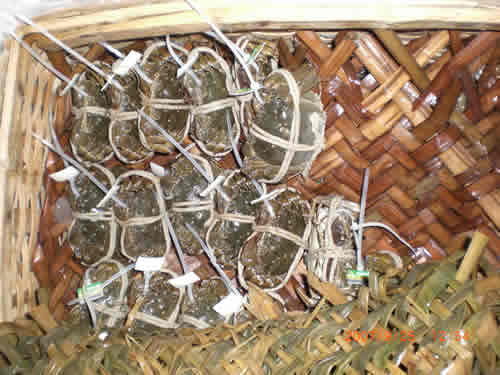 阳澄湖大闸蟹金秋闹穗 每日5吨飞抵广州