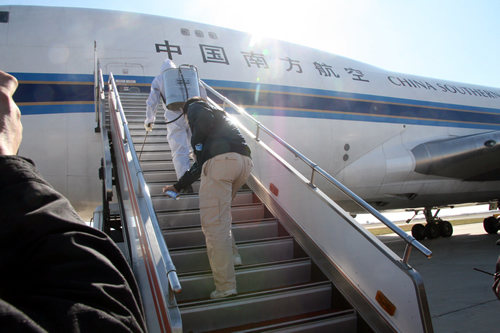 千只“洋猪八戒”乘南航货机抵达青岛流亭机场