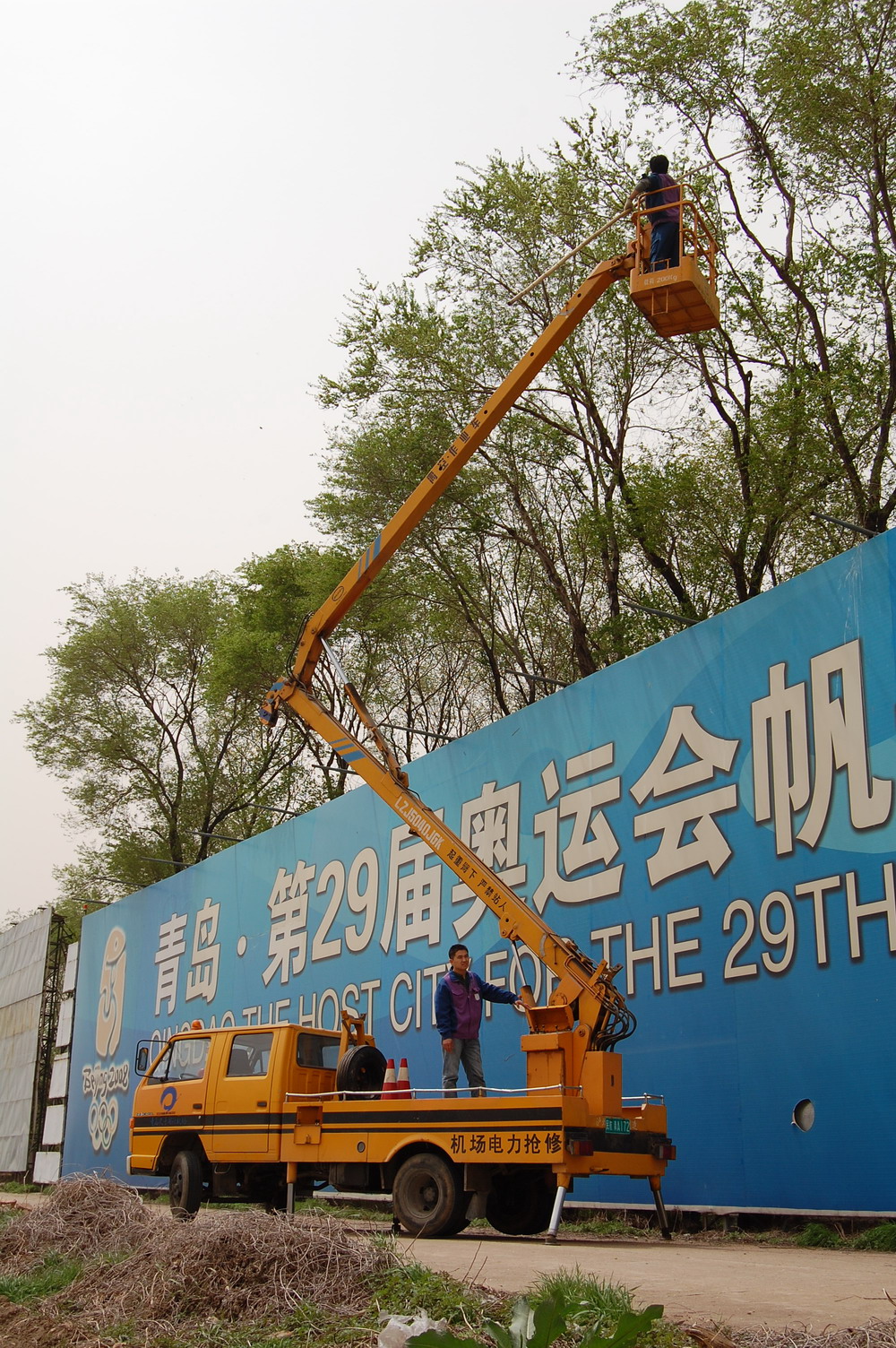青岛机场机建部集中捣毁鸟巢 净化飞行环境