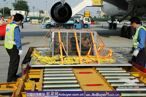 南航拯救国宝大熊猫专机赴京现场纪实报道