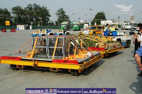 南航拯救国宝大熊猫专机赴京现场纪实报道