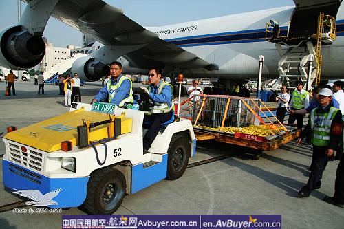 南航免费运输荷兰、菲律宾援助中国的帐篷抵川