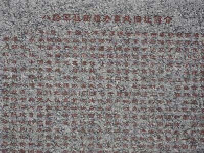 南航新疆飞行一大队举行旺季生产党日活动