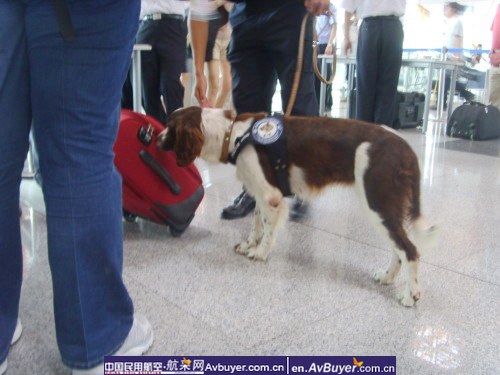 华北管理局对首都机场实行特别安检进行检查