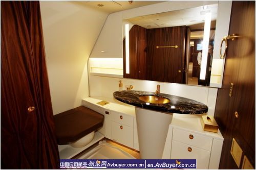 国内最大公务机落户深圳 由亚联运营管理