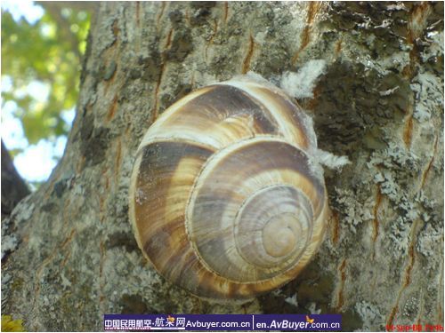 南航新疆分公司飞行员之－西亚行