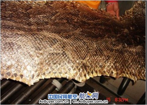 昆明机场安检查获3卷珍稀蟒蛇皮 已移交森林公安