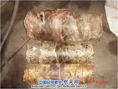 昆明机场安检查获3卷珍稀蟒蛇皮 已移交森林公安