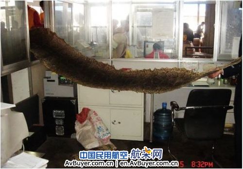 昆明机场安检查获3卷珍稀蟒蛇皮 已移交森林公安
