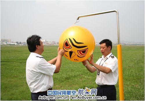 昆明国际机场：驱鸟“恐怖眼”  吓鸟一大片