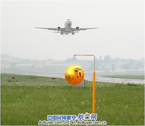 昆明国际机场：驱鸟“恐怖眼”  吓鸟一大片