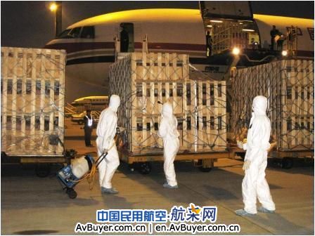 法国种猪包机抵穗 白云物流保障"菜篮子"通关