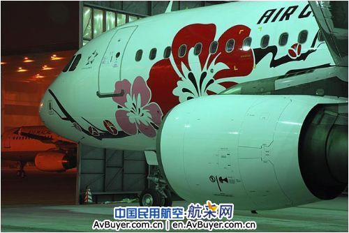 国航成都维修基地完成飞机彩喷投入宝岛航线