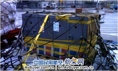 特别节日货舱迎来特殊“旅客”—老虎