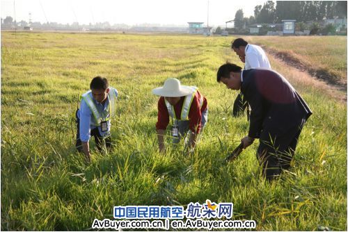 昆明机场：多种方法齐上阵　春夏之交驱鸟忙