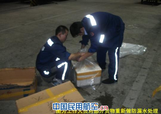 过站航班限载拉大批海鲜货物 妥善处置减损失